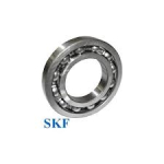  16007 SKF