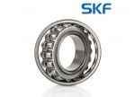 21305 SKF = 21305 CC SKF