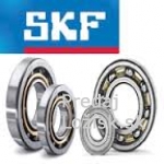 22213 SKF = 22213 CC SKF