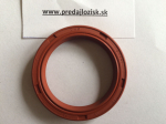 AO 55x72x10 SIL